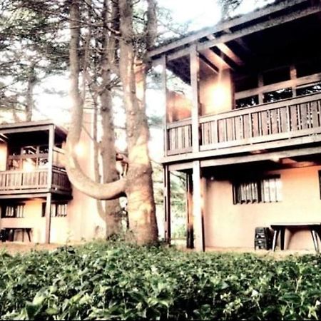 מר דל פלאטה Posta Chimango, Cabanas Frente Al Golf Los Acantilados מראה חיצוני תמונה