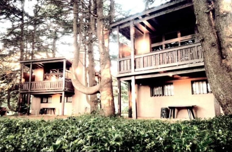 מר דל פלאטה Posta Chimango, Cabanas Frente Al Golf Los Acantilados מראה חיצוני תמונה