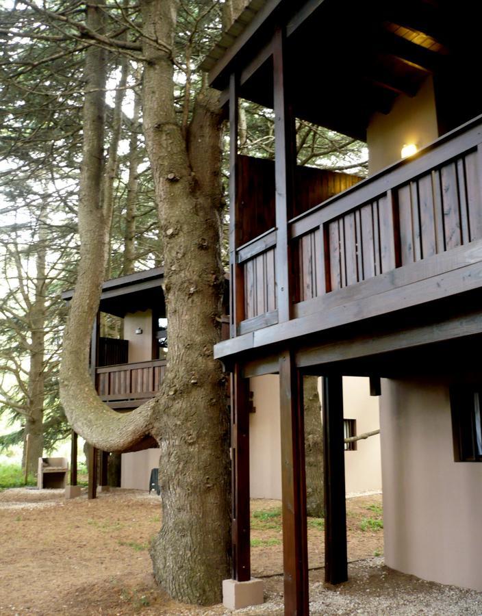 מר דל פלאטה Posta Chimango, Cabanas Frente Al Golf Los Acantilados מראה חיצוני תמונה